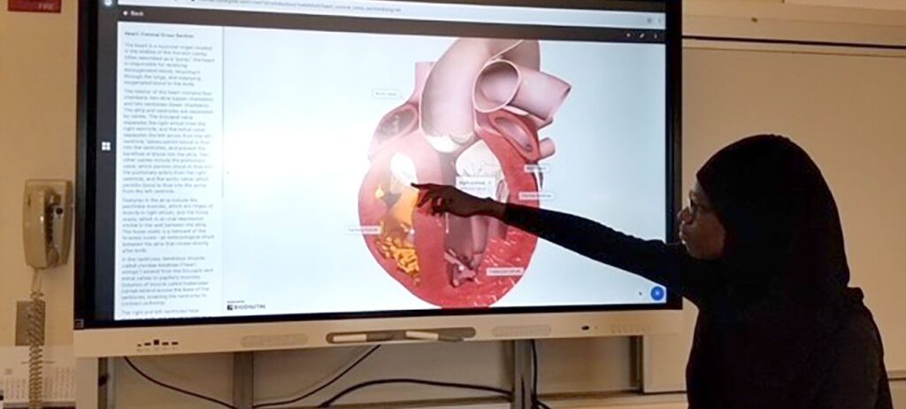 smartboards for complex learning